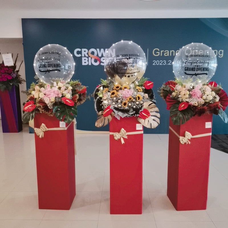 Corporate event balloon decoration and entertainment setup in Singapore for company events and family days