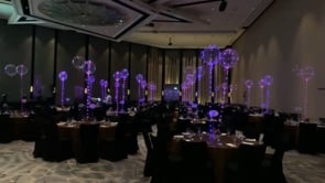 Led Balloons