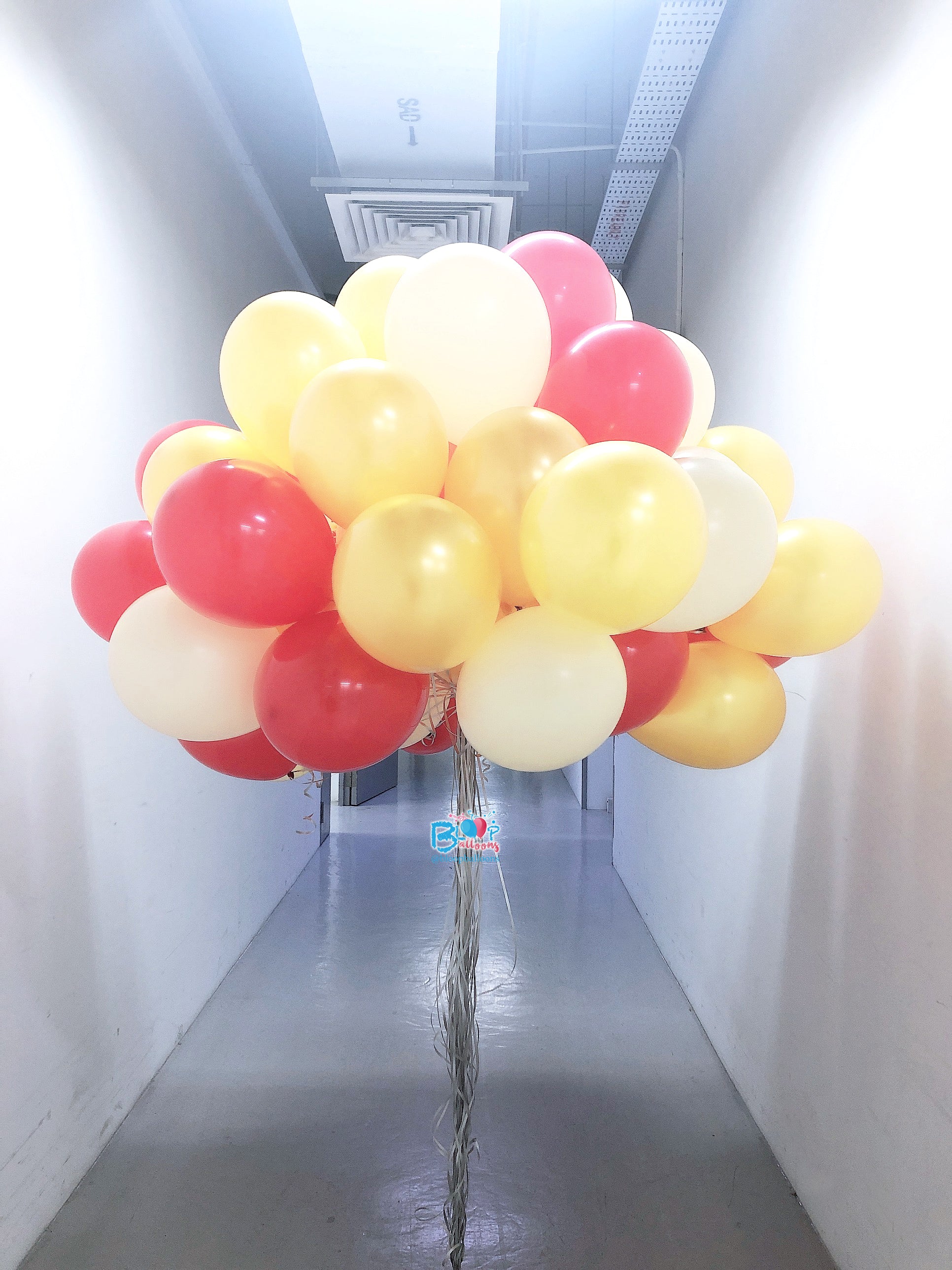 12inch Helium Balloon Package - 60pcs In A Bundle – Bloop Balloons